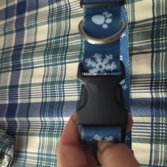 Matching Dog Collar and Leash - Picture 2 of 3